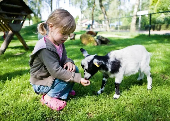 Semesterpark Landal De Veluwse Hoevegaerde Putten