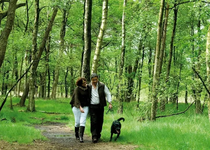 Landal De Veluwse Hoevegaerde