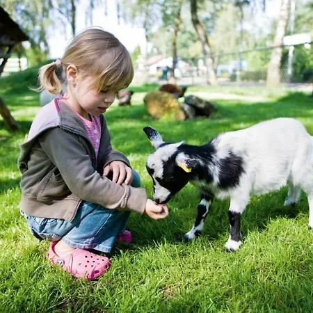 Holiday park Landal De Veluwse Hoevegaerde Putten